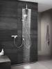 Смеситель для душа Kludi Ameo 417100575 фото 4