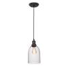 Подвесной светильник Loft IT Glass Bell Loft1814 фото 4