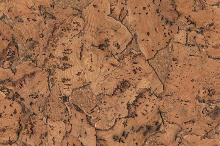 Пробковое покрытие Corkstyle Wall Design Monte Nat 600x300x3