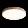 Потолочный светодиодный светильник Loft IT Axel 10004/36 white фото 2