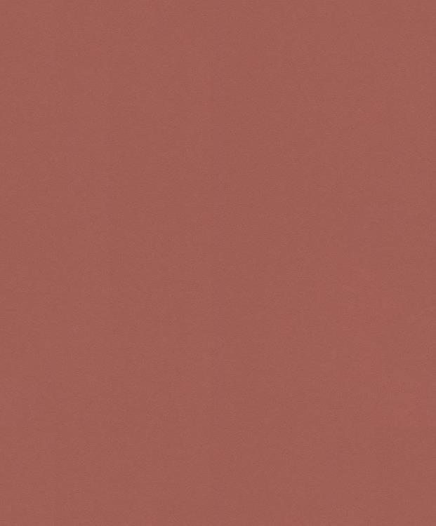 Обои Rasch Salsa 806878