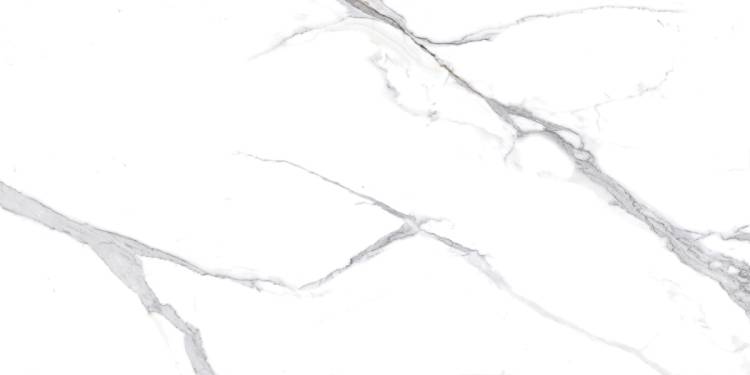 Керамогранит Ceradim Calacatta Splendid Silver белый Полированный 60х120