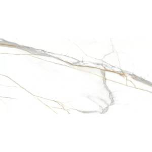 Керамогранит Absolut Gres Roma AB 1159G Grigio Gloss 60x120