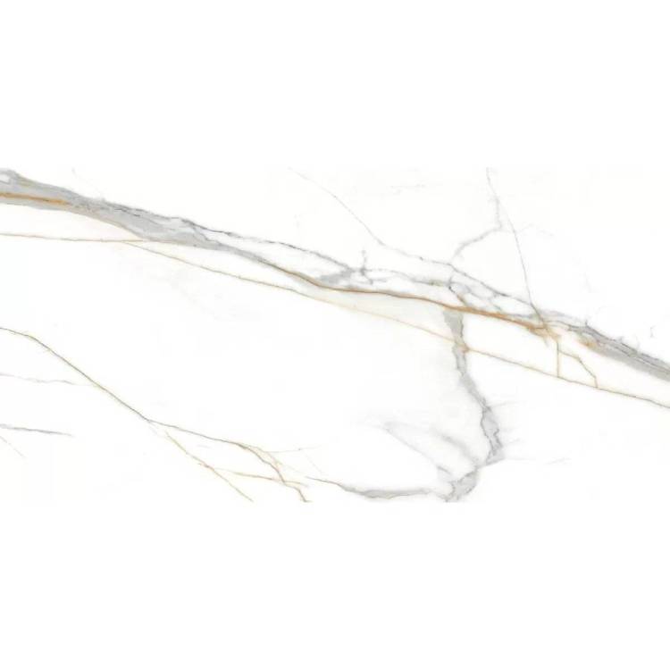 Керамогранит Absolut Gres Roma AB 1159G Grigio Gloss 60x120