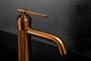 Смеситель для раковины Boheme Eterna 171-BRB Brushed Bronze фото 5