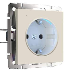 Розетка с подсветкой Werkel W1171462