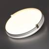 Настенно-потолочный светодиодный светильник Sonex Olidi White 7646/CLN фото 6