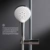 Душевой гарнитур Am.Pm Gem F0190100 фото 4