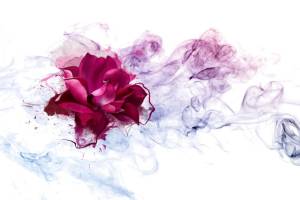 3D Фотообои Artegrafico «Роза в сиреневом тумане» CD-014 канвас