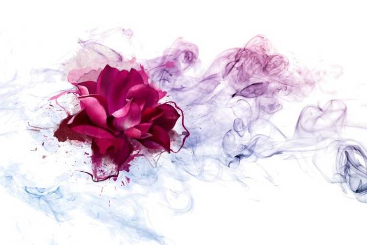 3D Фотообои Artegrafico «Роза в сиреневом тумане» CD-014 канвас