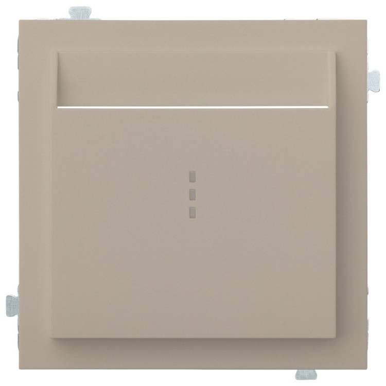 Лицевая панель для карточного выключателя Rikett 35731 LT латте