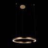 Подвесной светодиодный светильник Loft IT Ring 10013L фото 5