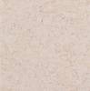 Линолеум Tarkett IQ Megalit (АйКью Мегалит) 3390503 (рулон: 2x23=46 м2)