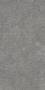 Керамогранит Protiles Pietra PT12F7047 Grey 60x120