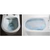 Унитаз-компакт Cerutti Spa Mimi 8707 безободковый, с микролифтом фото 6
