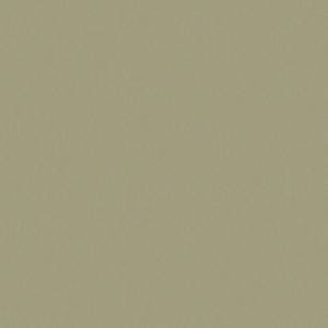 Обои флизелиновые Aura Moonlight NL4006