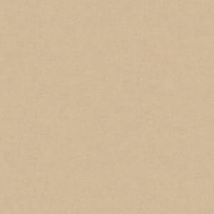 Обои A.S. Creation Accent 368905