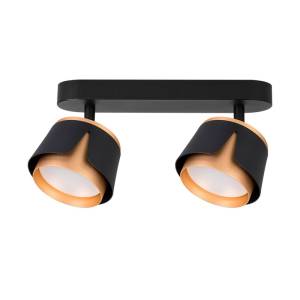 Светильник потолочный Arte Lamp Amaks A8028PL-2BK