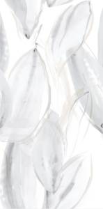 Керамическая плитка Emigres Florida Pul Blanco RP 59x119