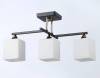 Подвесной светильник Ambrella light Traditional TR303114 фото 3