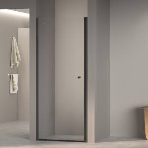 Душевая дверь RGW Dolphin TN-03B 54930309-14 Черный 90x195