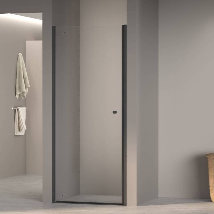 Душевая дверь RGW Dolphin TN-03B 54930309-14 Черный 90x195