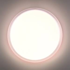 Настенно потолочный светильник Sonex Jolly 7776/ELN