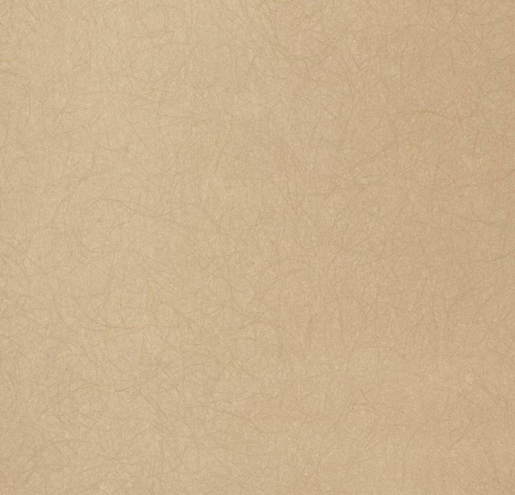 Обои флизелиновые Bernardo Bartalucci Legend 5068-81