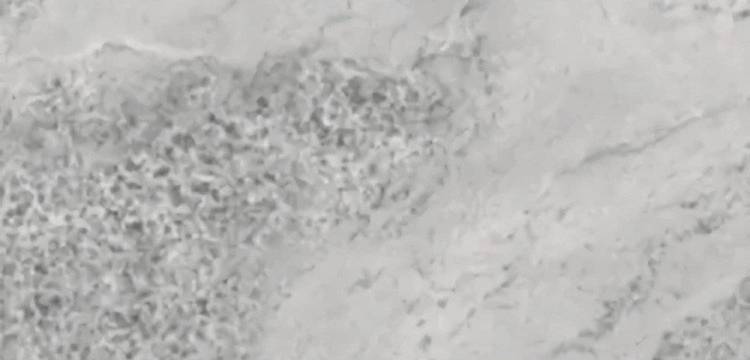 Керамогранит Hafez Alireza Naanakar 95430 Light Gray Gem Grad 1 80x160