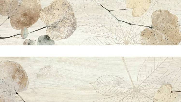 Декор Del Conca Foreste D'Italia 27FI10FOJ FI10 Foliage Bianco 20х80