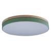 Потолочный светодиодный светильник Loft IT Axel 10001/36 green