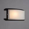 Настенный светильник Arte Lamp Archimede A6462AP-1CK фото 5