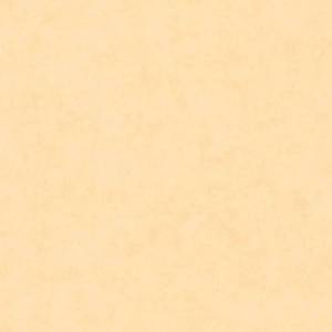 Обои Caselio Beton 2 101483100