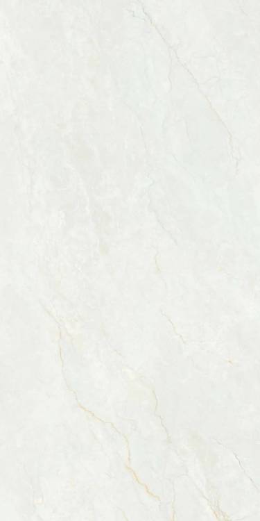 Керамогранит Belleza Roman 45466 RC Oro 2P Gv River Carving 60x120