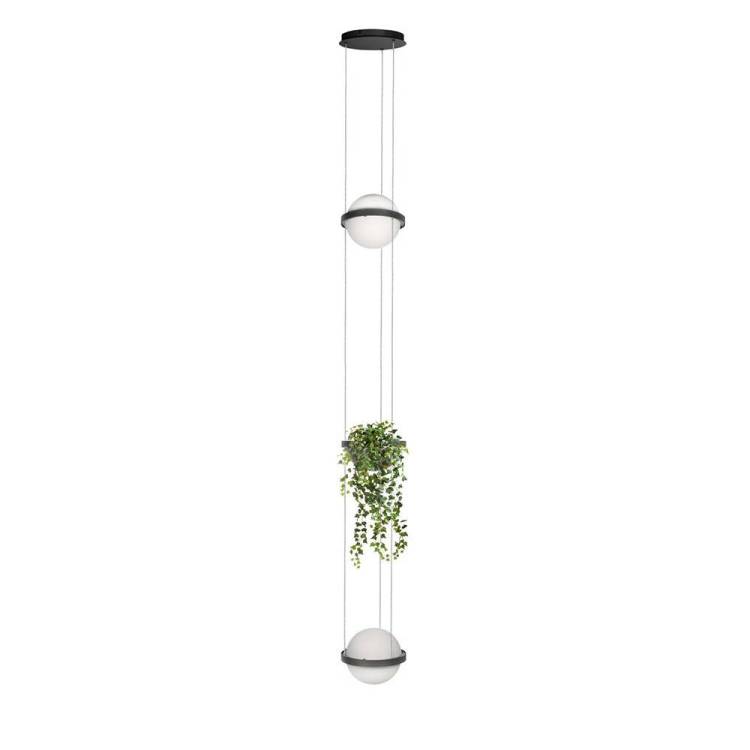 Подвесной светильник Loft IT Jardin 10121/2P Dark grey