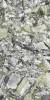 Керамогранит Ariostea Ultra Marmi UM6L157675 Luxury White Lucidato Shiny 6mm 150x75 фото 2