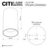 Потолочный светильник Citilux Axel CL512110R фото 9