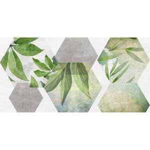 Керамическая плитка Laparet Focus 34090 Зеленый Ботаника 25x50