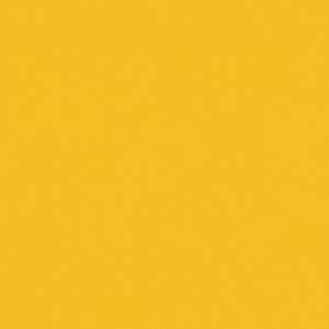 Спортивное ПВХ покрытие Tarkett Omnisports Action 40 Yellow (рулон: 2x20.5=41 м2)