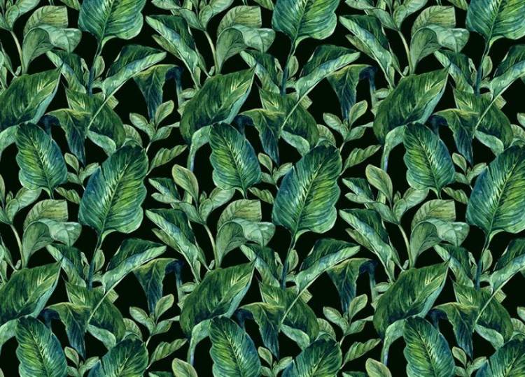 3D Фотообои Artegrafico «Освежающая зелень» TB-031 акварель