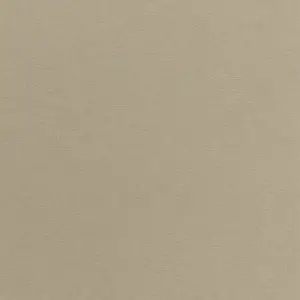 Обои Rasch 449815 Florentine II