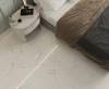 Карандаш Laparet Crystal 51530120B металлический серебро глянцевое 3x120 фото 4