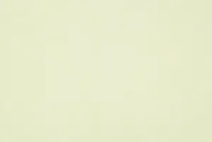 Жидкие обои Silk Plaster Master Silk MS-111