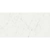 Керамическая плитка Atlas Concorde Marvel Stone 9MSF Carrara Pure 40x80