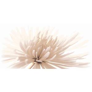 Декор Cersanit Emma C-EA2L051D 29.7x60