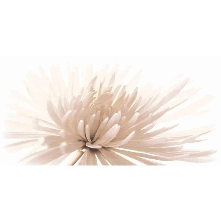 Декор Cersanit Emma C-EA2L051D 29.7x60