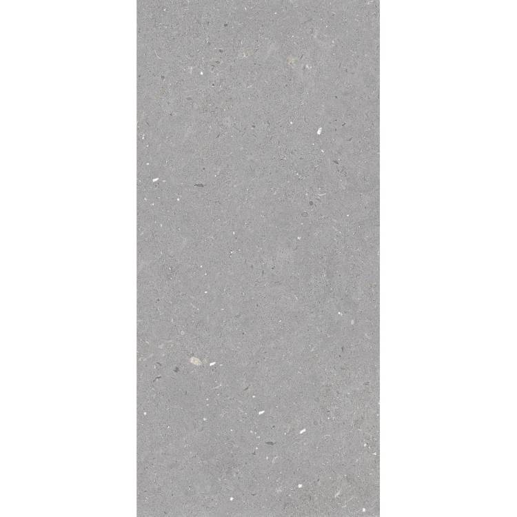 Керамогранит Simpolo Fossil MPL-061843 Stx Grey 59.8x119.8