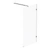 Душевая перегородка Am.Pm X-Joy W94WI-100-F1-BTE 100x195, стекло прозрачное 6 мм, профиль черный