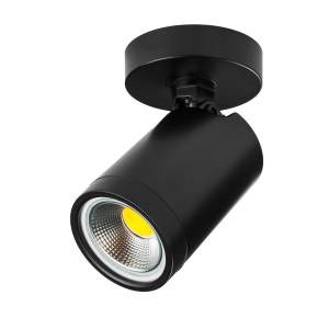 Светильник накладной Lightstar Rullo 213407