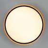 Светильник с пультом Citilux Norma CL749501 LED RGB фото 9